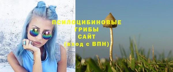 спайс Горняк