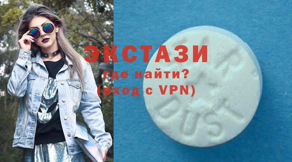 индика Вяземский