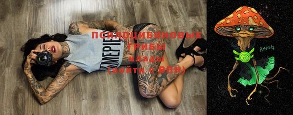 ешки Вязники