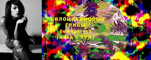 первитин Горнозаводск