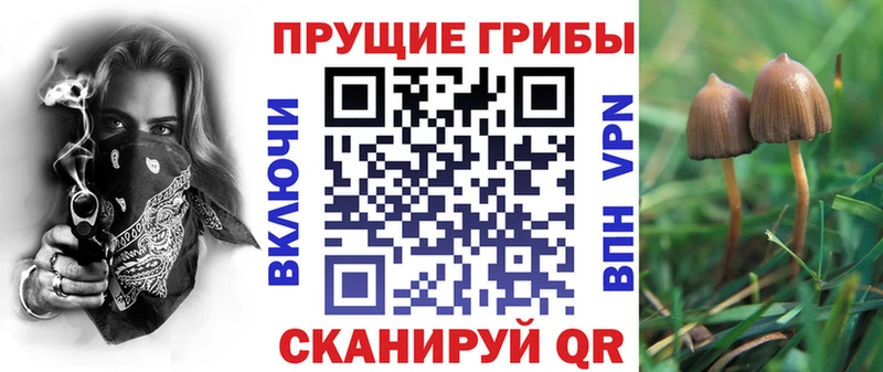 Галлюциногенные грибы MAGIC MUSHROOMS  Мглин 